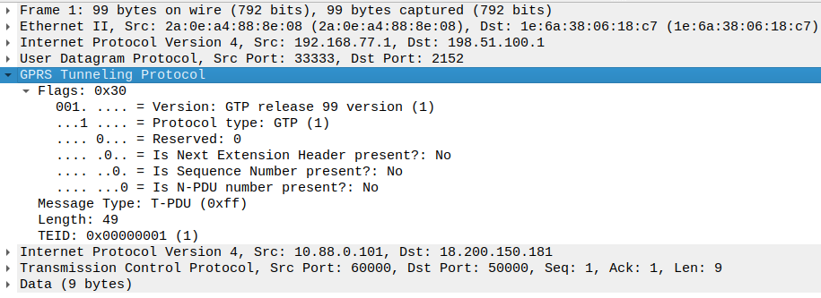 A sample GTP-U packet generated by using the Python Scapy library