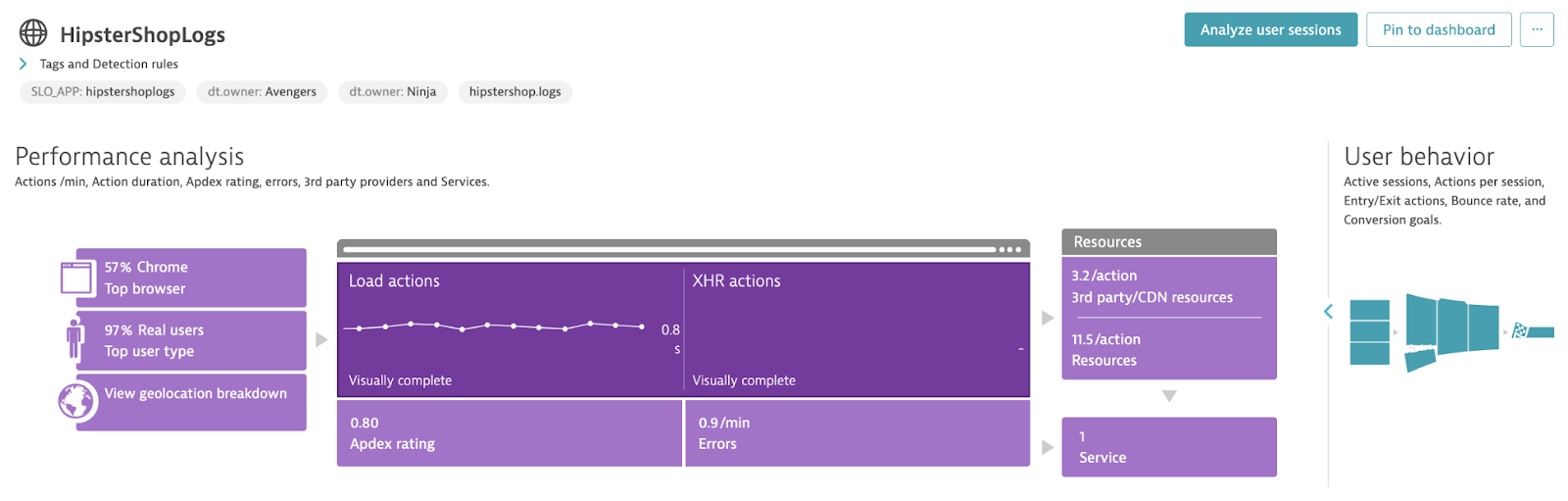 A widget summarizing key data of the application (Top browsers, load actions, errors, apdex rating, loaded resources, and called services).