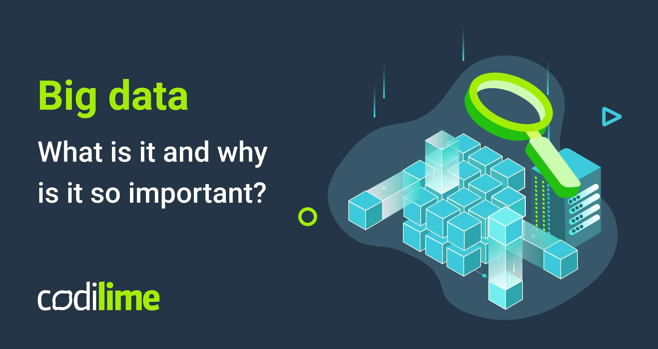 Big data. What is it and why is it so important? | CodiLime