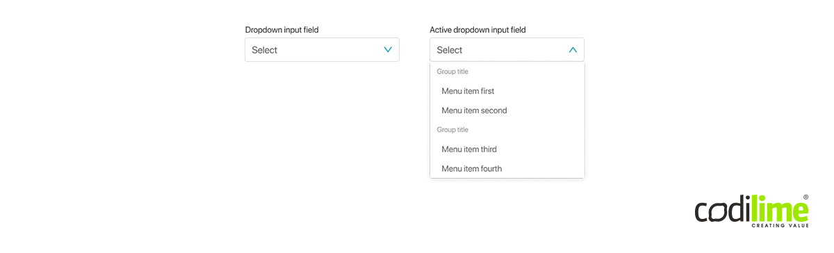 Input field with a dropdown list