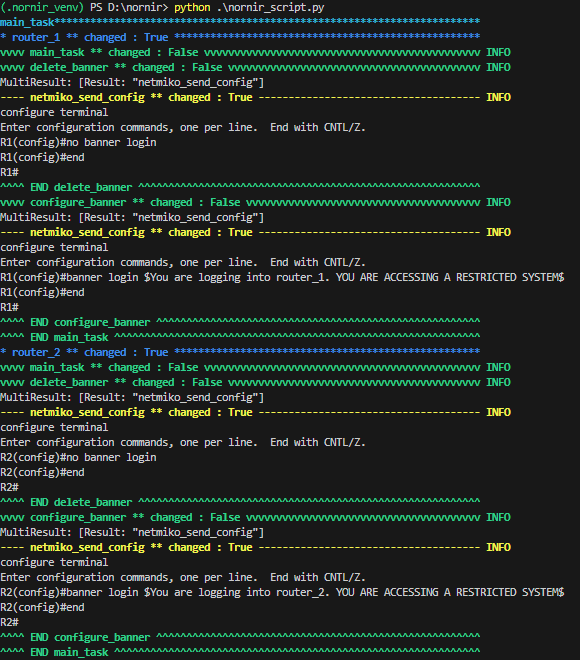 Execution of script python nornir for network automation 