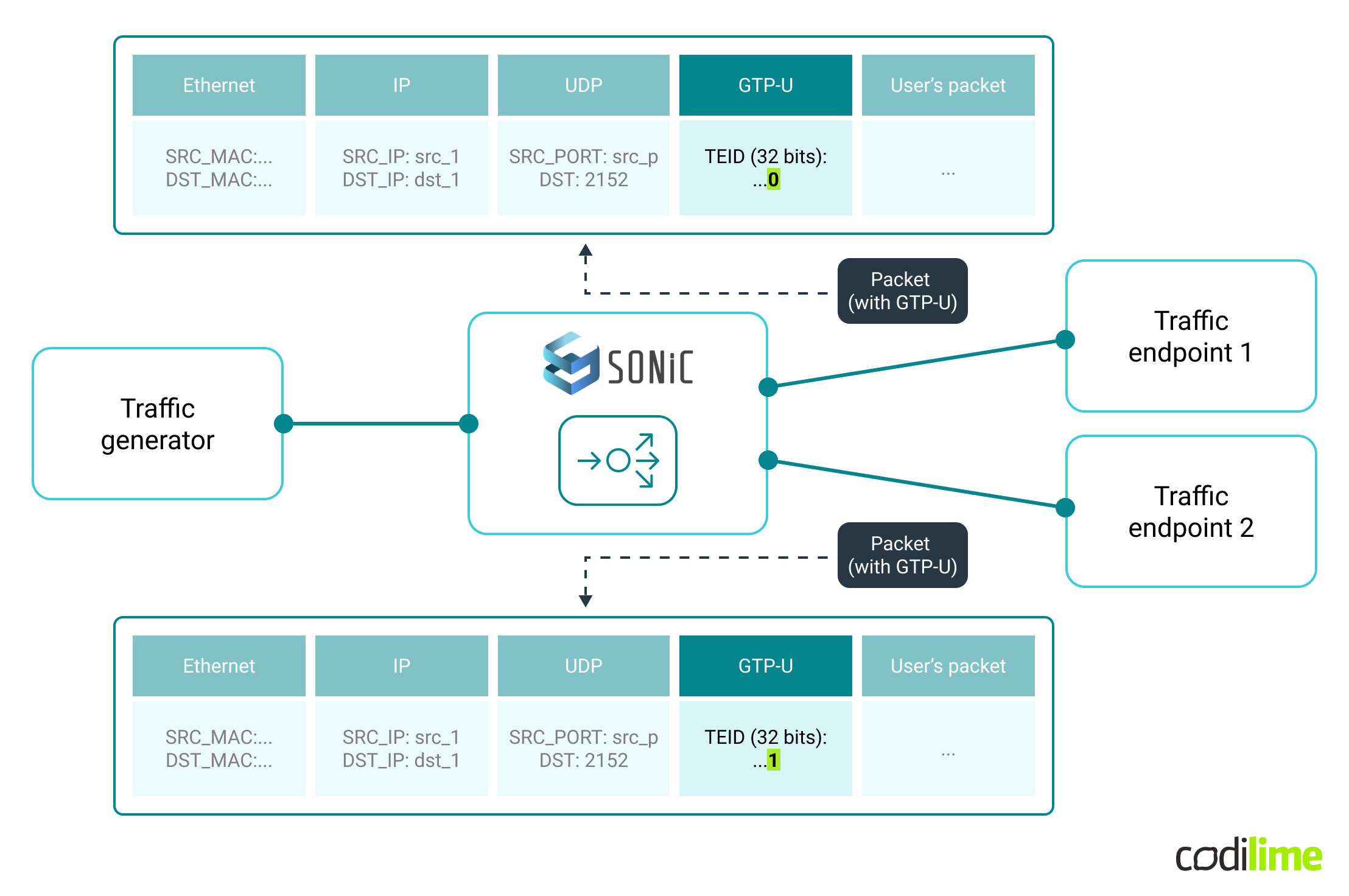 Lab setup with SONiC switch configured to forward GTP-U packet based on TEID field