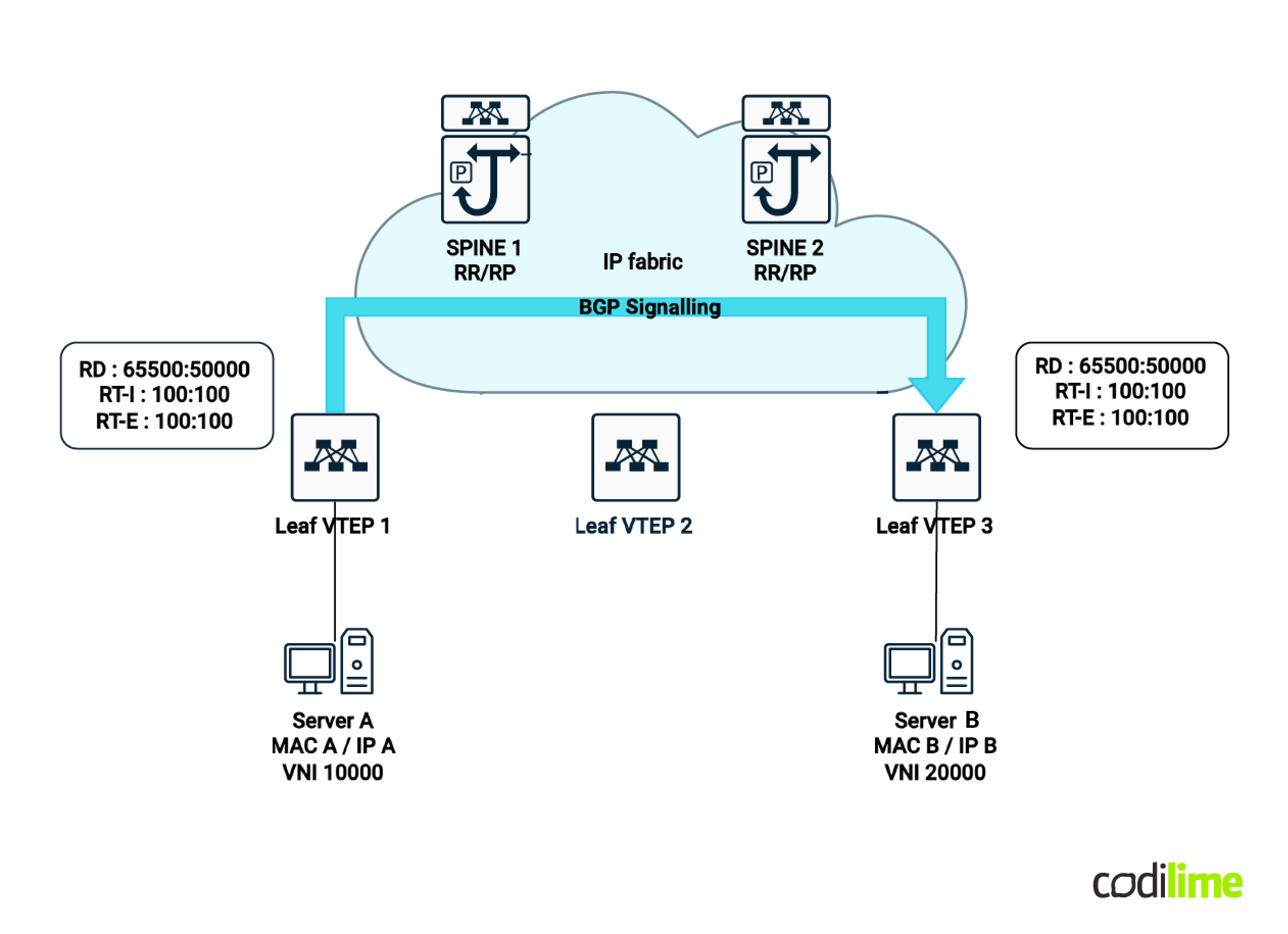 Multitenancy support in IP Fabric