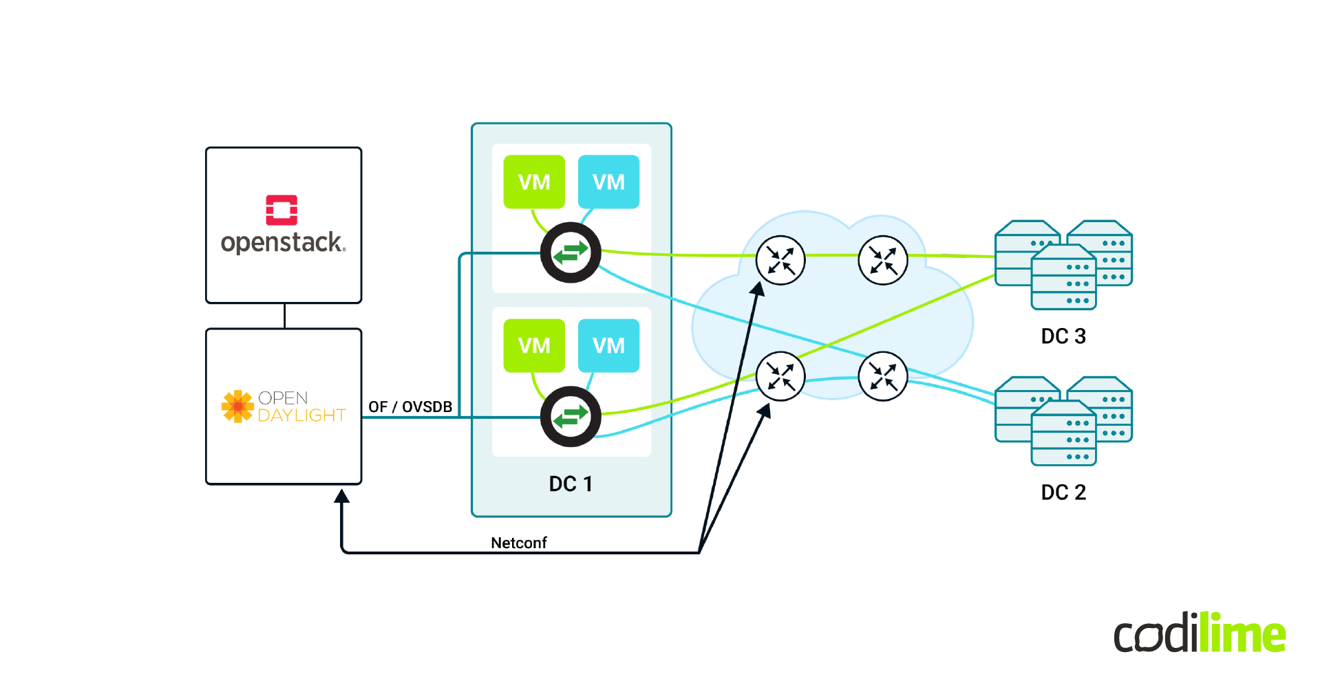 SDN environment