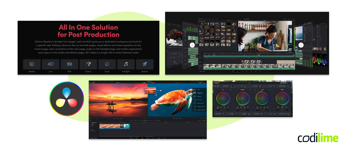 UX design system DaVinci Resolve