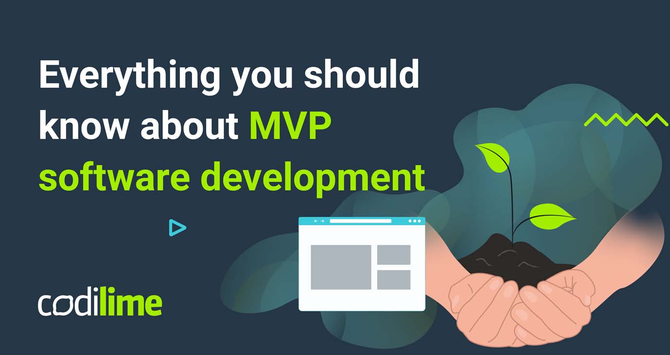 Everything you should know about MVP software development